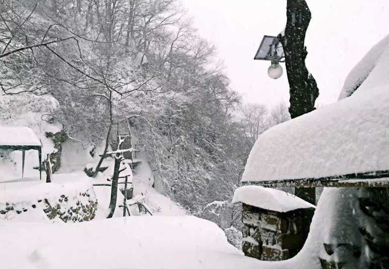 行業普及：太陽能路燈有什么種類