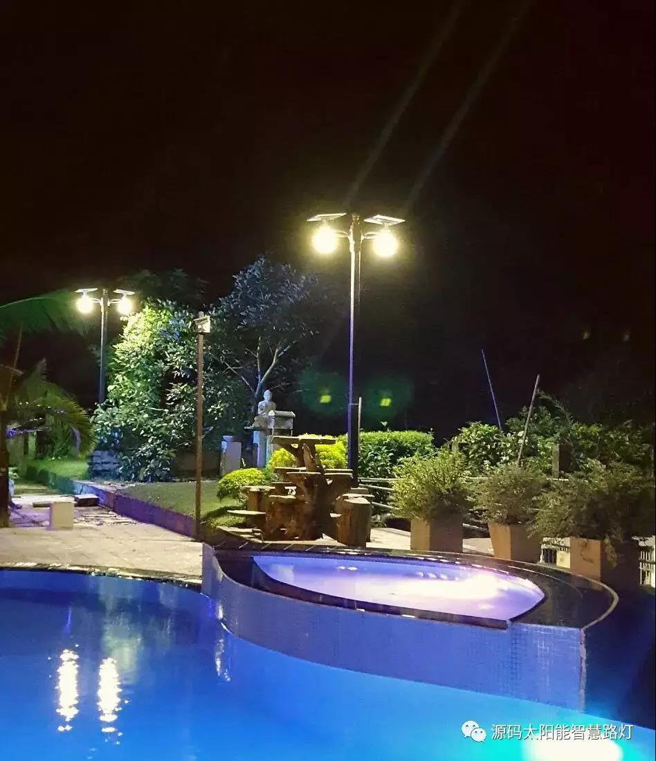 總統、發展局主席齊齊發聲，源碼火遍這個國家