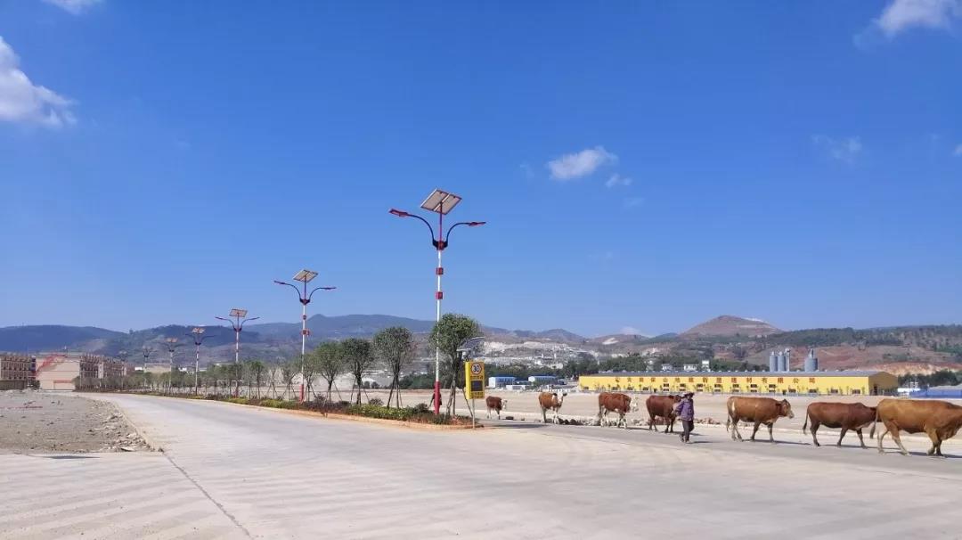 回顧2019，源碼Road Smart奮斗在路上