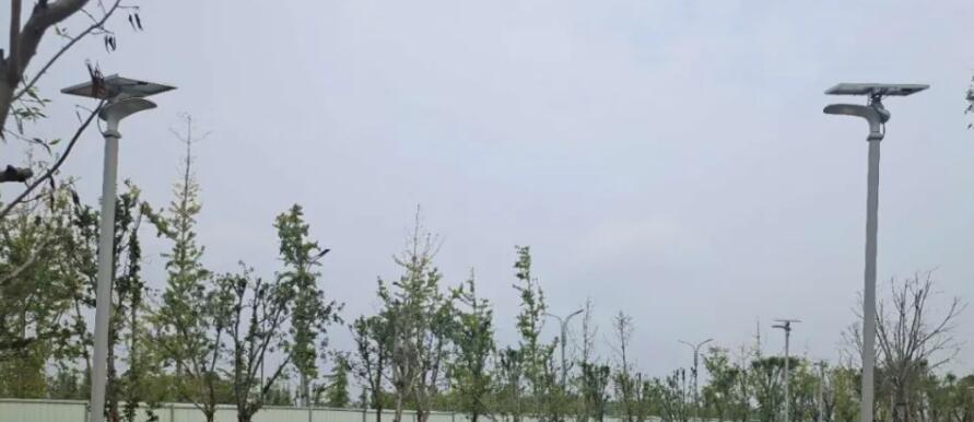 晴空排云雁高飛，源碼項目掀熱潮