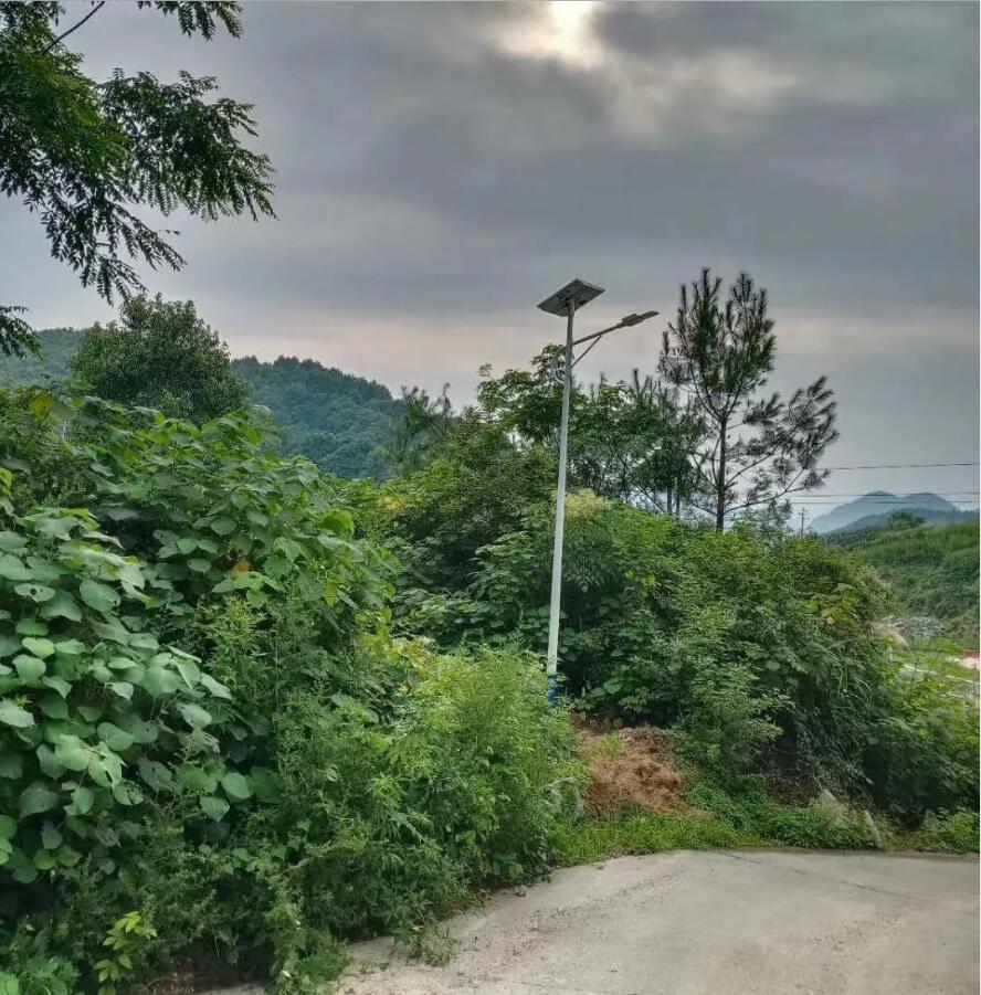 晴空排云雁高飛，源碼項(xiàng)目掀熱潮