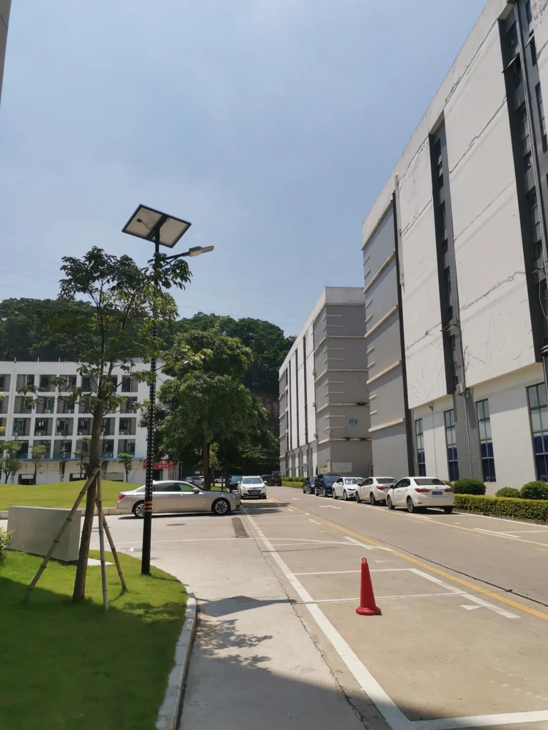 案例賞析〡云雁高飛，助力鄉(xiāng)村振興