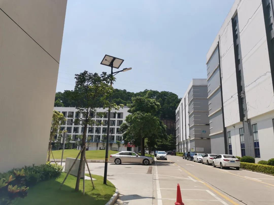 案例賞析〡云雁高飛，助力鄉(xiāng)村振興